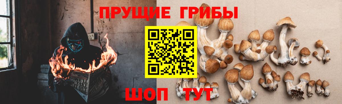 Галлюциногенные грибы Magic Shrooms Нижний Тагил