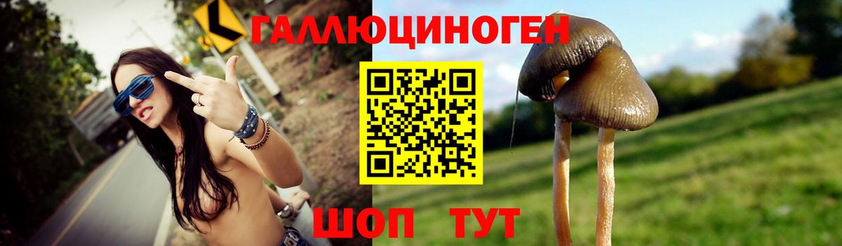 Нижний Тагил  Псилоцибиновые грибы мухоморы  Вход с VPN 